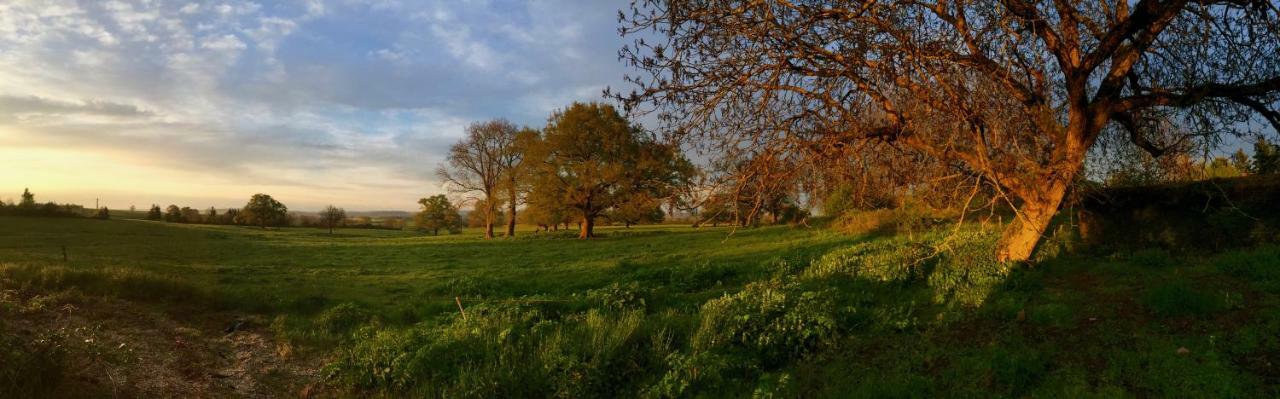 Chambre D'Hotes Ferme De La Forlonge Bed & Breakfast Sauvigny-le-Beureal Luaran gambar