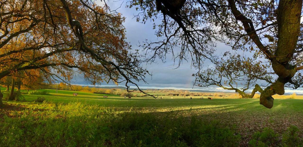 Chambre D'Hotes Ferme De La Forlonge Bed & Breakfast Sauvigny-le-Beureal Luaran gambar